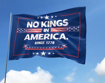 No Kings in America Flag, Protest Flag, Democracy Flag, Protest, Gift for Anti-MAGA, Patriotic Flag, Liberal House Flag KDLD15