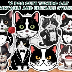 12 Pcs Cute Tuxedo Cat Sticker Pack | Black and White Cat Tuxedo Cat | Angry Cat | Tuxedo Cat | Adorable Feline Decal | Cute Cat Art