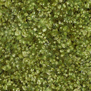 May include: A close-up view of a pattern of green leaves with white accents. The leaves overlap, forming a textured, natural design. The colour scheme features different shades of green and white.