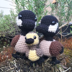 以下が含まれることがあります： 手作りの編みぐるみのアヒルの置物3つ。アヒルは黒い頭に白い模様、茶色とベージュの体、黒い足があります。一番小さいアヒルの子は黄色と茶色です。緑の葉の前に配置されています。