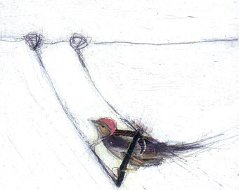 Bird Painting Collage - On a Swing with a Red Hat