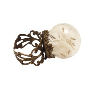 May include: A brass ring with a glass orb containing dried dandelion seeds. The ring has a decorative, ornate design.
