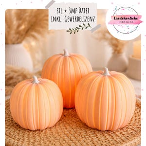 Può includere: Tre zucche decorative arancioni con steli bianchi sono disposte su una superficie tessuta. Le zucche variano in dimensioni e presentano scanalature verticali. Lo sfondo include piante essiccate e un logo con il testo "Laedchenliebe Designs". È visibile anche il testo "STL + 3MF DATEI INKL. GEWERBELIZENZ".