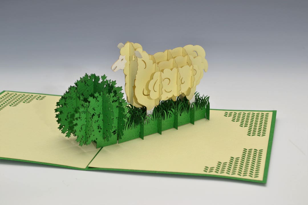 Pop up Cards Sheep for Knitters Fiber Lovers Greeting Cards - Etsy