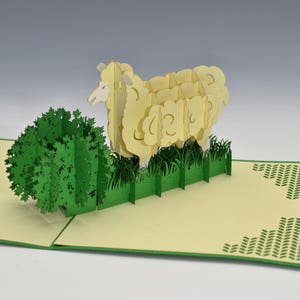 Pop Up cards Sheep for knitters Fiber lovers Greeting cards image 1