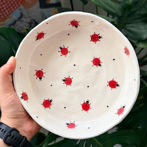 Può includere: Una ciotola in ceramica color bianco sporco di forma rotonda con un motivo dipinto a mano di piccole coccinelle rosse con macchie nere e zampe sottili. La superficie interna è decorata con queste coccinelle e minuscoli puntini neri.