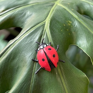 Ladybug Plant Magnet(rubber): Fun Houseplant Decor