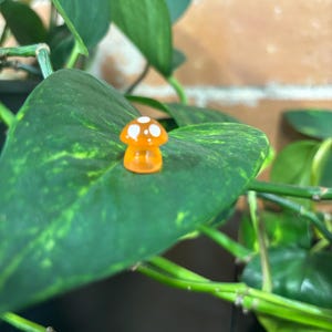 May include: A small orange and white mushroom figurine sits on a green leaf.