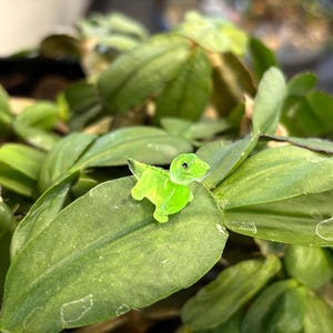 May include: A small, green, glass dinosaur figurine sitting on a green leaf.