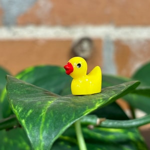 May include: A small yellow rubber duck with a red beak and eyes sits on a green leaf.