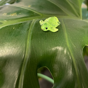 May include: A small, green, plastic turtle figurine on a green leaf.