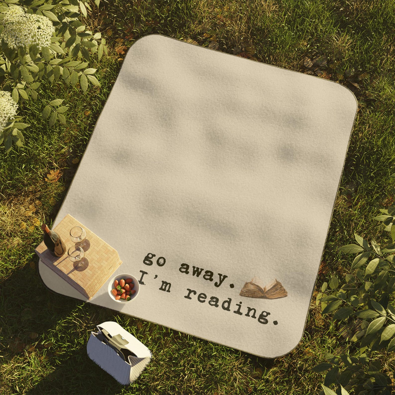 A picnic scene shows a blanket on grass with the text "go away. I'm reading." Nearby, there’s a basket, fruit, and glasses.