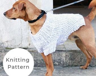 Dog Sweater Knitting Pattern Dog 