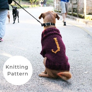 Dog sweater knitting pattern, initial dog sweater pattern, knitting pattern, dog clothes, dog jumper pattern, personalized dog sweater,