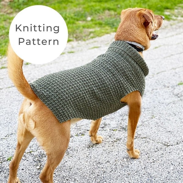 Dog sweater knitting pattern, dog sweater pattern, dog sweater, dog clothes, dog jumper pattern, dog sweater small, medium, large,