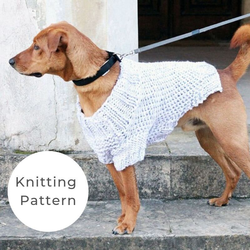 Dog Sweater Knitting Pattern Dog 