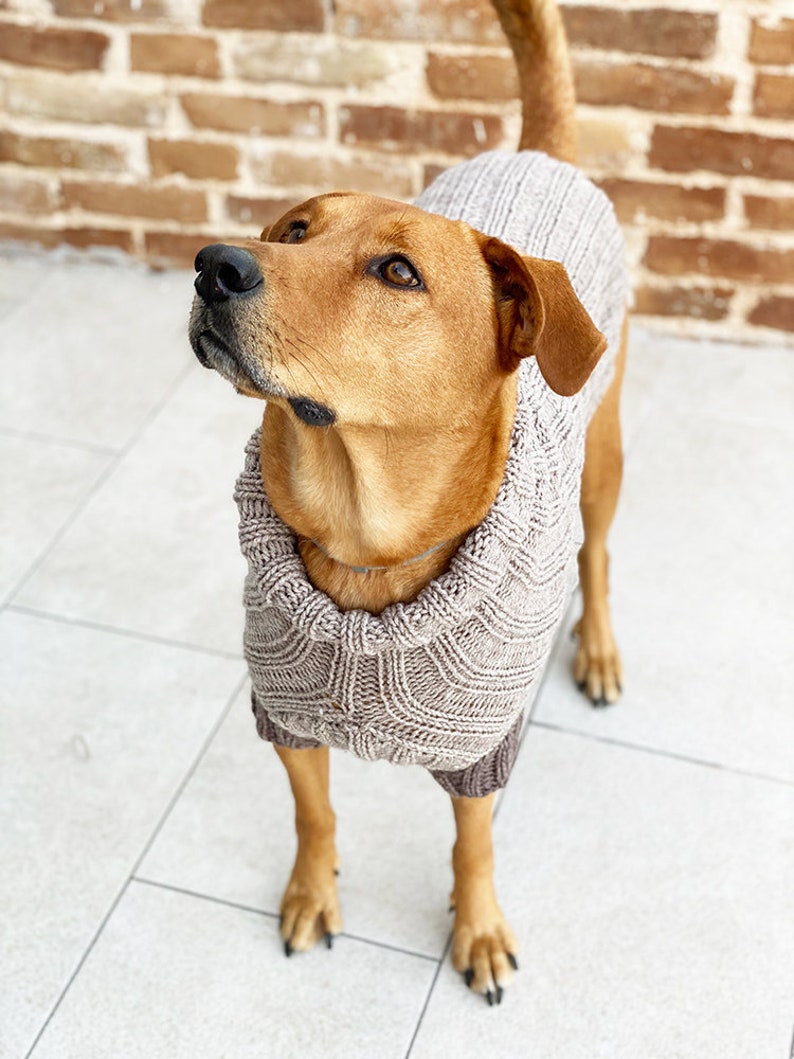 Dog sweater knitting pattern, Baby Yoda pattern, dog sweater pattern, knitting pattern, dog clothes, dog jumper pattern image 4