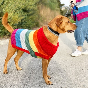 Rainbow dog sweater knitting pattern, dog sweater pattern, striped dog sweater pattern, knitting pattern, dog clothes, dog jumper pattern image 3