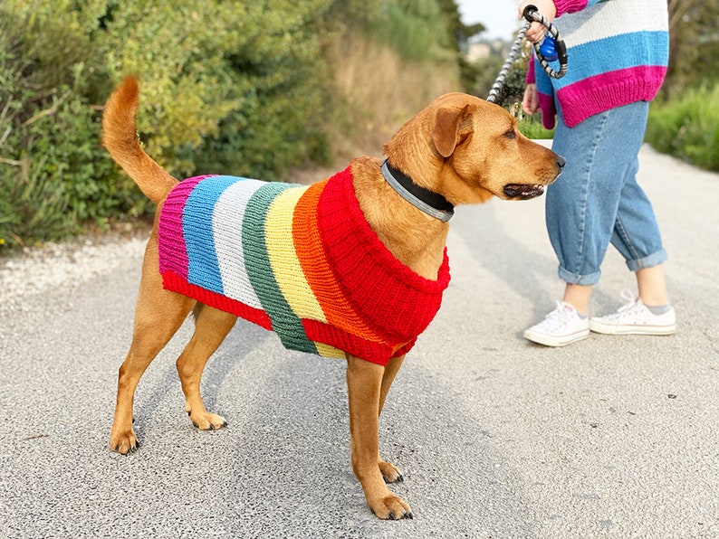 Rainbow dog sweater knitting pattern, dog sweater pattern, striped dog sweater pattern, knitting pattern, dog clothes, dog jumper pattern image 3