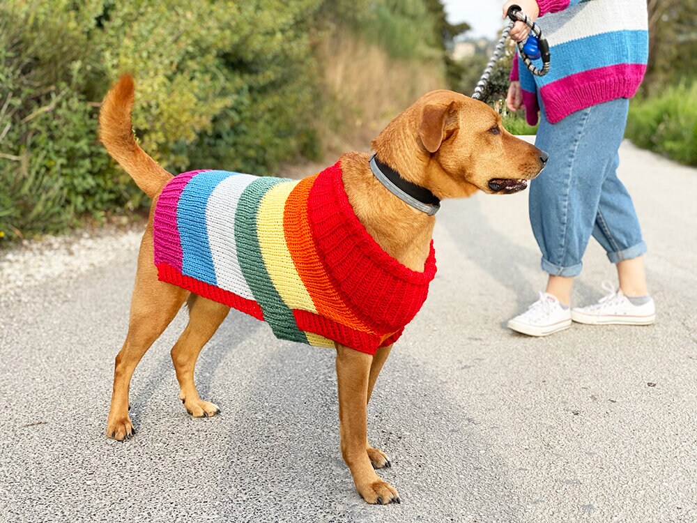 Rainbow Dog Sweater Knitting Pattern Dog Sweater Pattern Etsy Canada
