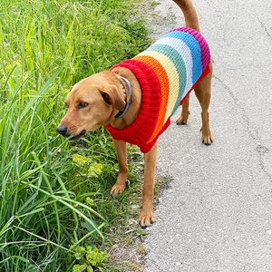 Rainbow dog sweater knitting pattern, dog sweater pattern, striped dog sweater pattern, knitting pattern, dog clothes, dog jumper pattern image 2