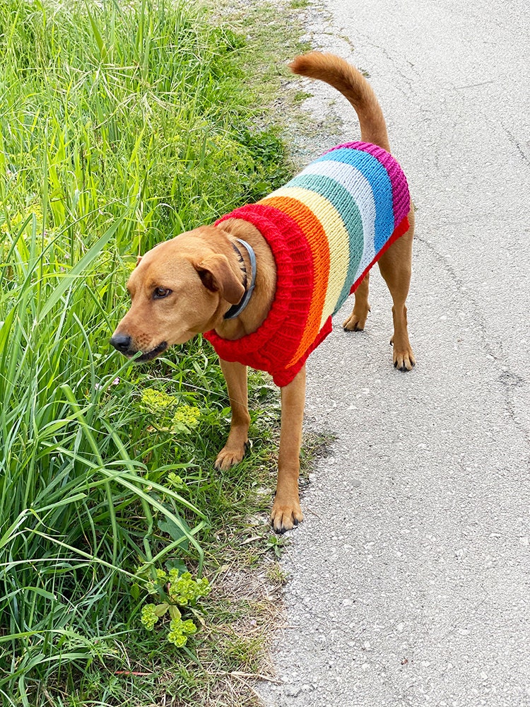 Rainbow Dog Sweater Knitting Pattern Dog Sweater Pattern Etsy