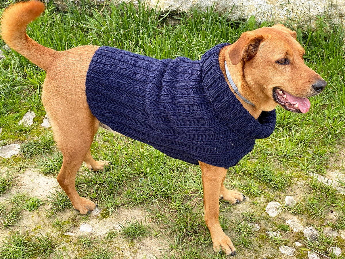 Dog Sweater Knitting Pattern Dog Sweater Pattern Dog Etsy Canada
