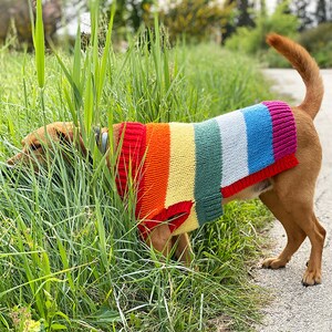 Rainbow dog sweater knitting pattern, dog sweater pattern, striped dog sweater pattern, knitting pattern, dog clothes, dog jumper pattern image 8