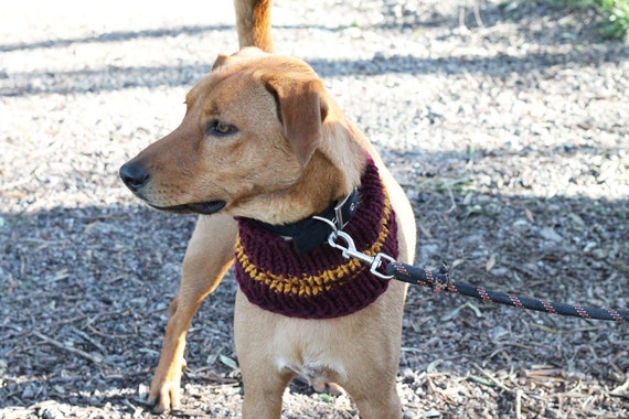 gryffindor dog