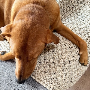 May include: A brown dog is lying on a beige crocheted blanket. The dog's head is resting on the blanket, and its paws are visible.