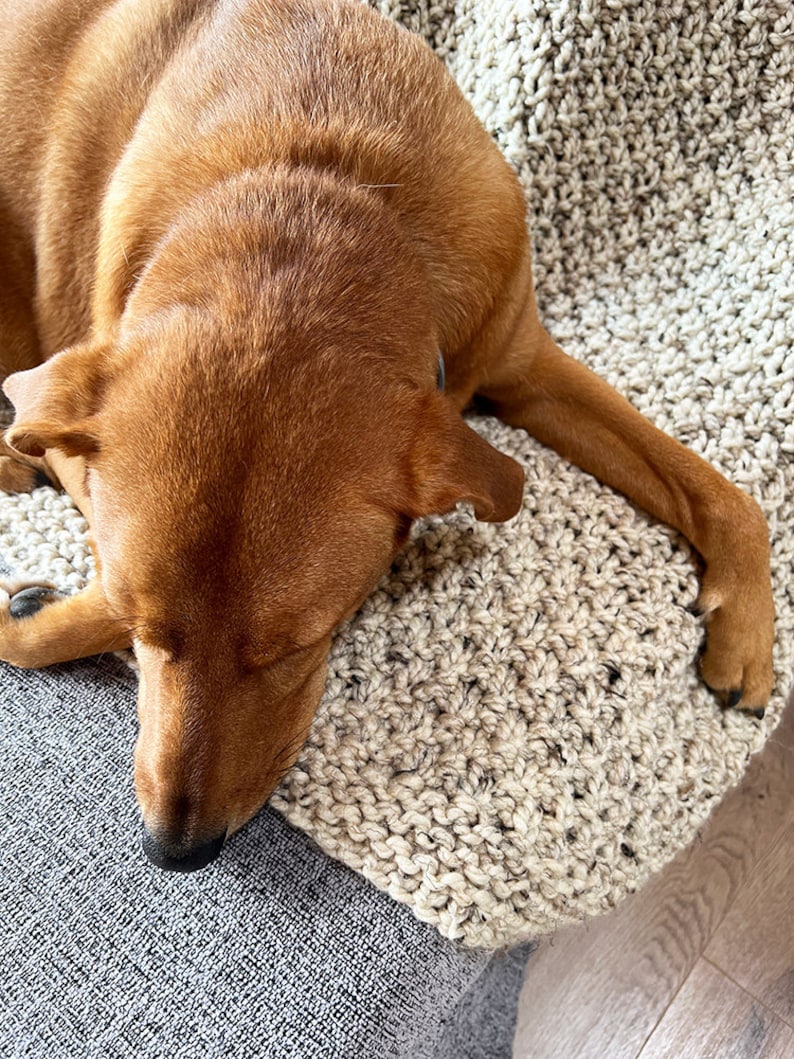 May include: A brown dog is lying on a beige crocheted blanket. The dog's head is resting on the blanket, and its paws are visible.