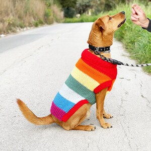 Rainbow dog sweater knitting pattern, dog sweater pattern, striped dog sweater pattern, knitting pattern, dog clothes, dog jumper pattern image 6