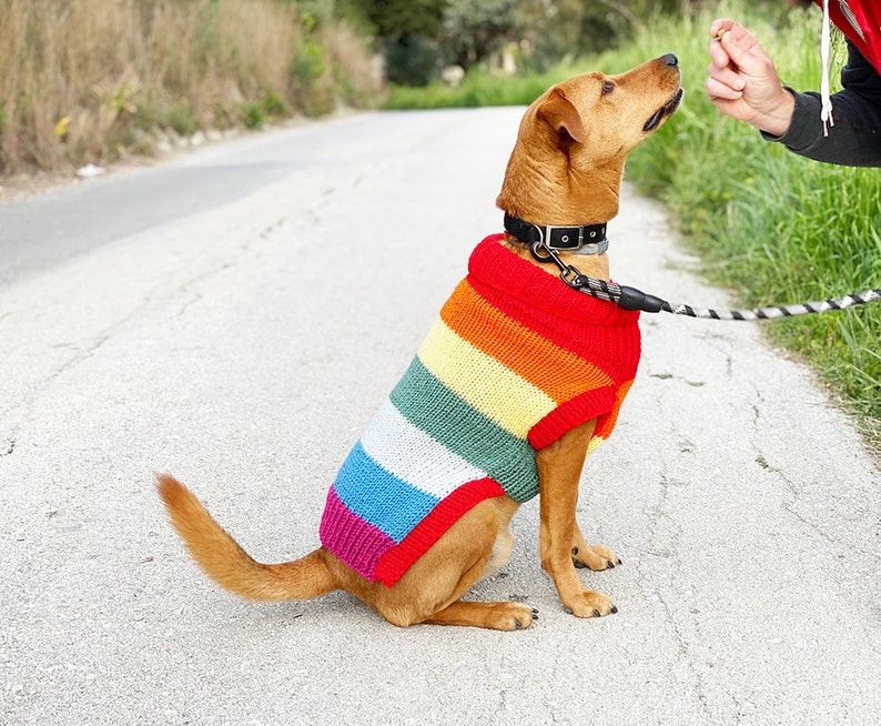 Rainbow dog sweater knitting pattern, dog sweater pattern, striped dog sweater pattern, knitting pattern, dog clothes, dog jumper pattern image 6