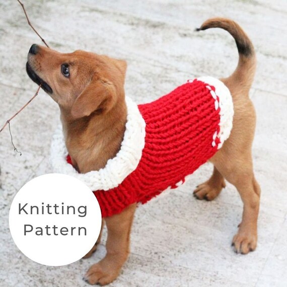 puppy sweater