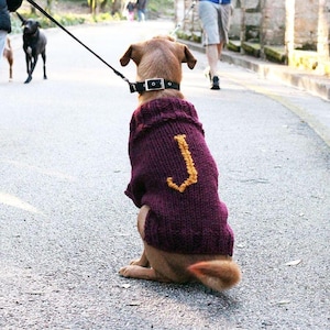Dog Sweater Knitting Pattern, Initial Dog Sweater Pattern, Knitting Pattern, Dog Clothes, Dog Jumper Pattern, Personalized Dog Sweater,