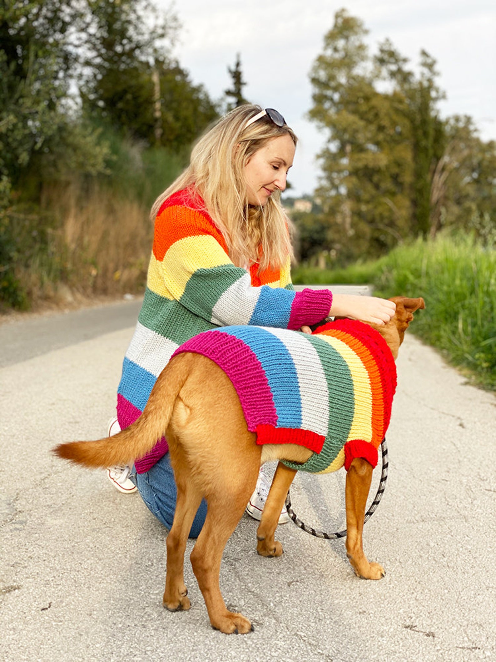 Rainbow Dog Sweater Knitting Pattern Dog Sweater Pattern Etsy Canada