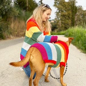 Rainbow dog sweater knitting pattern, dog sweater pattern, striped dog sweater pattern, knitting pattern, dog clothes, dog jumper pattern image 4