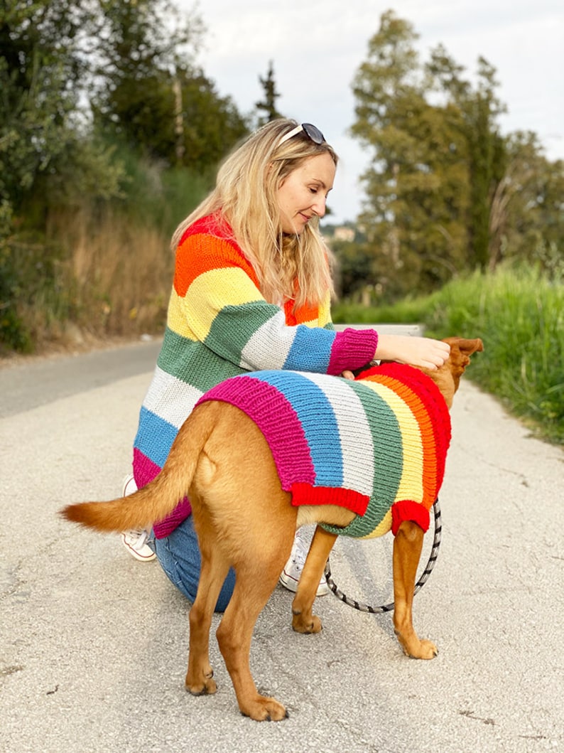 Rainbow dog sweater knitting pattern, dog sweater pattern, striped dog sweater pattern, knitting pattern, dog clothes, dog jumper pattern image 4