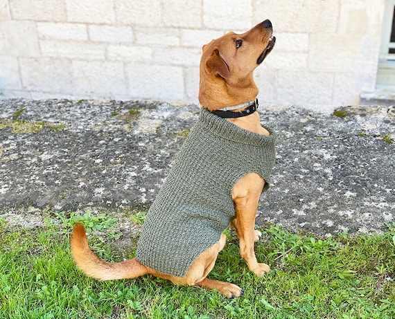 Chihuahua Free Dog Coat Knitting Pattern Uk Free Dog Coat Knitting
