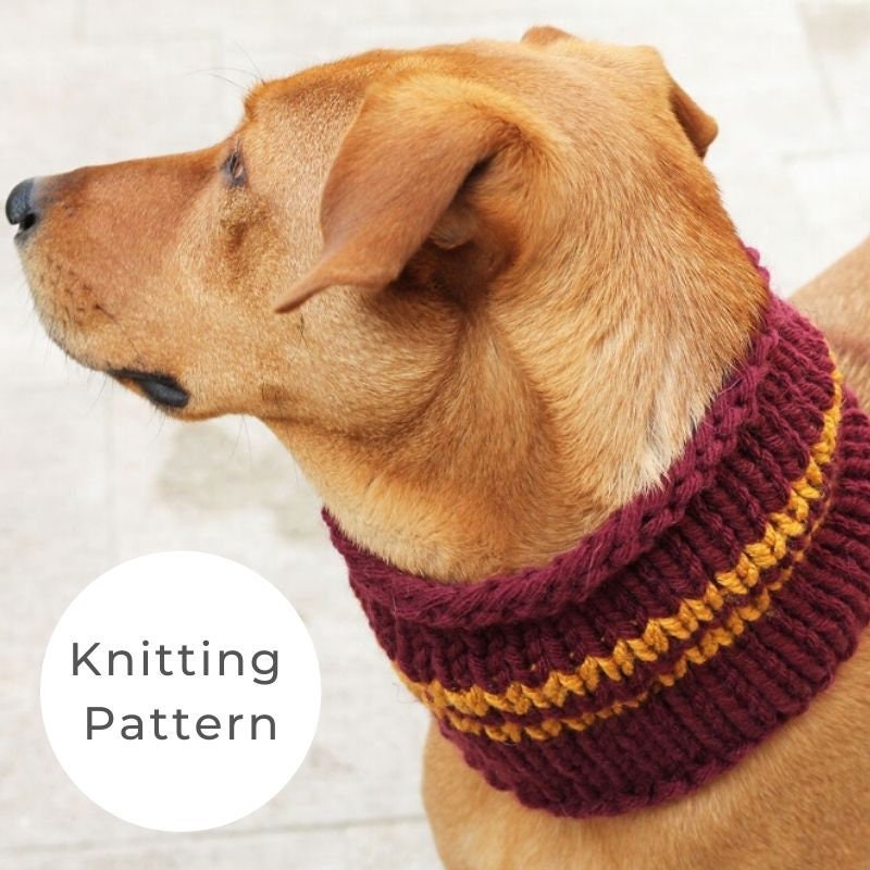 gryffindor dog collar