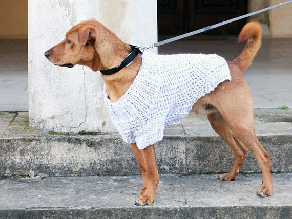 chunky knit dog jumper