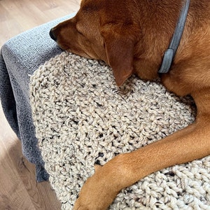 May include: A brown dog with a gray collar is lying on a beige knitted blanket. The dog's paws are visible on the blanket.