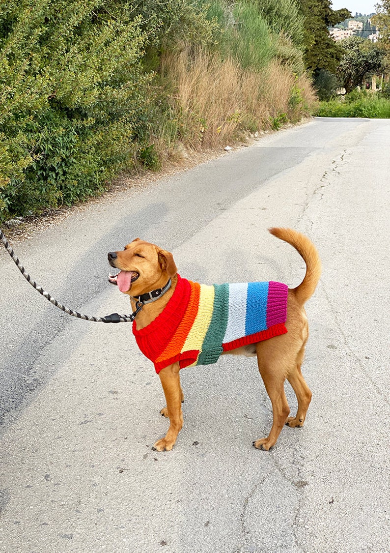 Rainbow dog sweater knitting pattern, dog sweater pattern, striped dog sweater pattern, knitting pattern, dog clothes, dog jumper pattern image 5