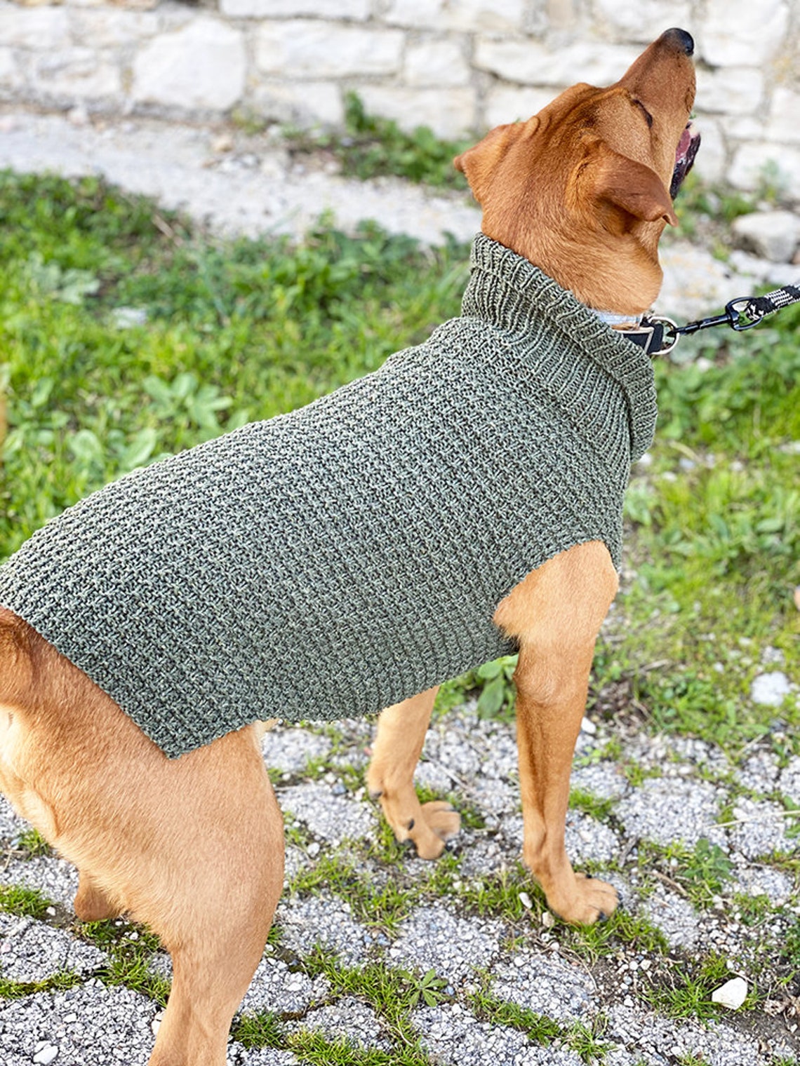 Dog Sweater Knitting Pattern Dog Sweater Pattern Dog - Etsy