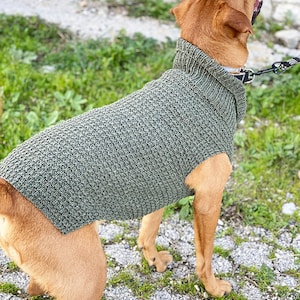 Dog Sweater Knitting Pattern, Dog Sweater Pattern, Dog Sweater, Dog ...