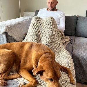 May include: A brown dog is sleeping on a beige knitted blanket on a gray couch. A person is sitting on the couch, covered by the blanket.