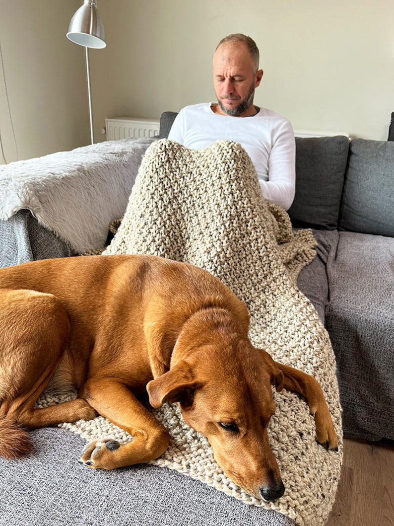 May include: A brown dog is sleeping on a beige knitted blanket on a gray couch. A person is sitting on the couch, covered by the blanket.