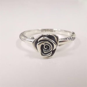 pandora Rose in Blüte Ring