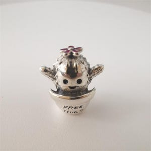 Pandora Sterling Silver Free Hugs Cactus Love Charm Flower Pot bead