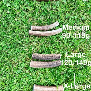 May include: Four antler chews of different sizes, from small to extra large, arranged in a row on a bed of green grass. The antler chews are natural brown in colour. The text "Small 35-89g", "Medium 90-119g", "Large 120-149g", and "X-Large 150-199g" is written next to each antler chew.